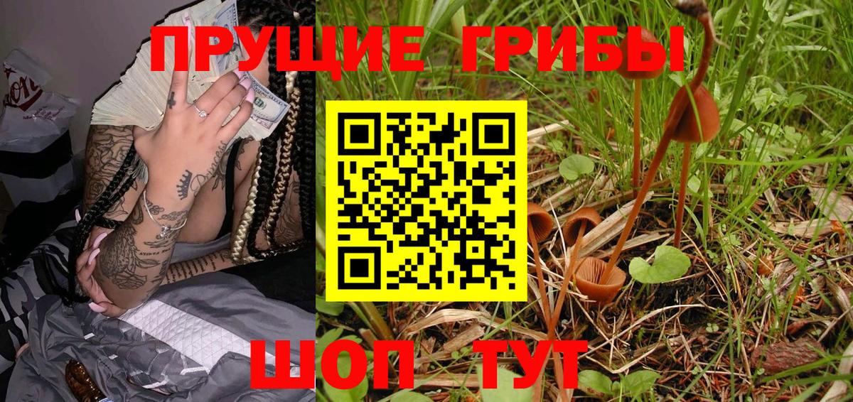 Псилоцибиновые грибы Psilocybine cubensis Сибай