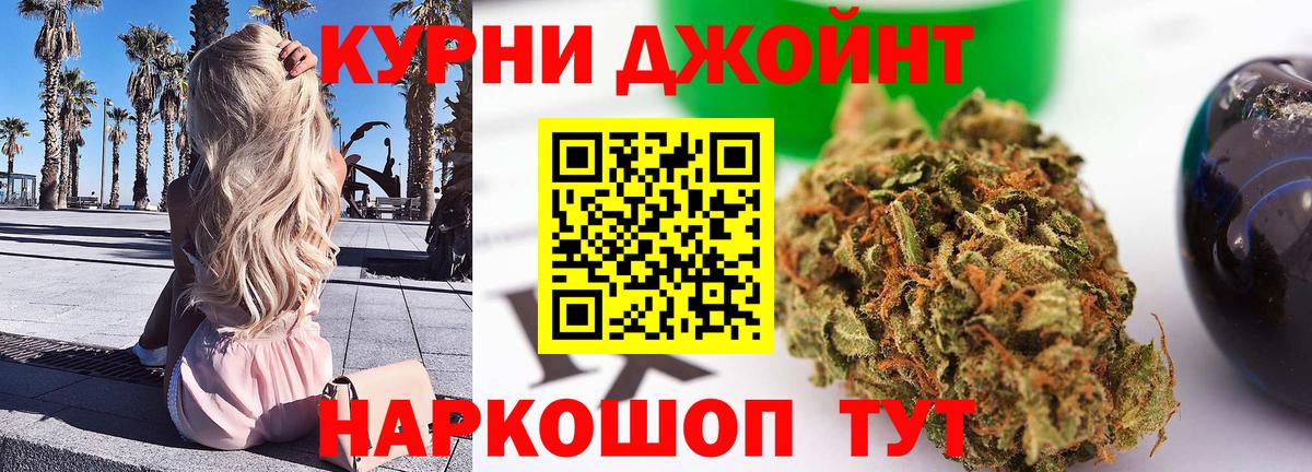 Канабис планчик Сибай